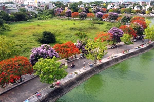 Nhiều người đổ xô đến Công viên Hồ Đồng Chiệc chụp ảnh