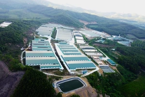 Trang trại nuôi heo ở Thanh Hóa bức tử khe Sào bị xử phạt 120 triệu đồng