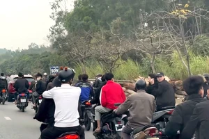 Clip hàng chục thanh niên không đội mũ bảo hiểm, lạng lách trên Quốc lộ 1A