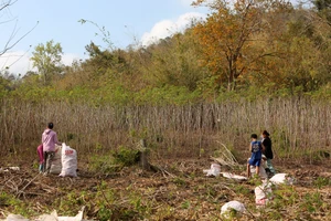 ‘Vàng trắng’ rớt giá, Thanh Hóa nhanh chóng đưa ra giải pháp