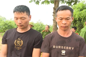 Lời khai của 2 người Trung Quốc xâm phạm khu mộ vua Lê Túc Tông 