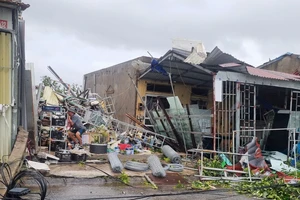 Ninh Bình: 6 người tử vong khi bão số 10 quét qua 