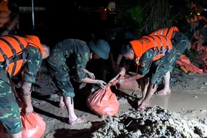 Huy động 300 người xuyên đêm khắc phục sự cố tràn đê sông Hoạt