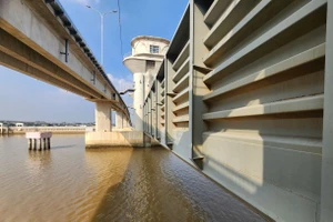 Thông tin mới vụ cầu ở Thanh Hóa xây xong nhưng chưa sử dụng