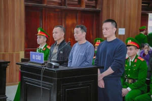 Trùm giang hồ Vi 'ngộ' lãnh 3 năm tù vì đưa hối lộ để xin giảm án cho người khác