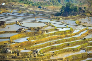 Ngắm 'viên ngọc xanh' Pù Luông xứ Thanh mùa nước đổ