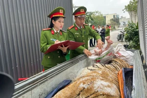 Bắt giam 2 người trong đường dây mua bán hổ nấu cao ở Thanh Hóa
