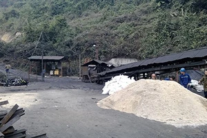 1 công nhân công ty than tử nạn khi đang làm việc