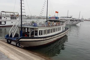 Công khai số điện thoại lãnh đạo trực bão số 7