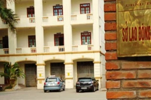 1 sở có 44 lãnh đạo: 'Sở Nội vụ không thể có ý kiến'