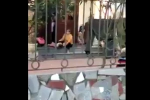 Bảo mẫu có hành vi thô bạo trẻ em để ép ăn