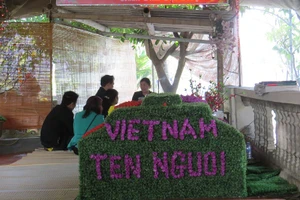 Không có đủ cơ sở khoa học khẳng định mộ Trạng Trình