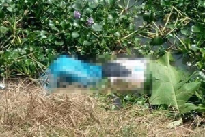 2 mẹ con chủ lô đề nghi sát hại con bạc