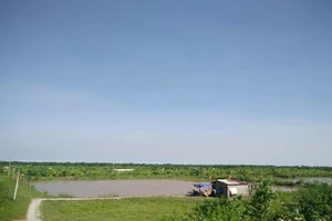 Thanh niên chuẩn bị ngủ bị truy sát bằng súng hoa cải