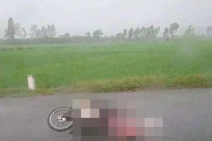 Đưa con đi học, mẹ bị sét đánh tử vong