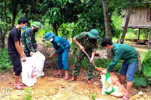 Quảng Bình: Khẩn trương lên phương án ứng phó với cơn bão Noru 