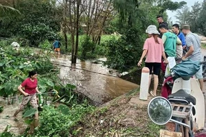 Lũ cuốn hơn 32 tấn cá lóc gần đến ngày thu hoạch