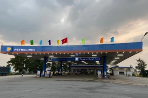 Ảnh minh họa. Ảnh: BT