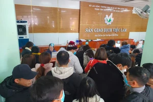 Sàn giao dịch việc làm Quảng Bình đông kín những ngày đầu năm