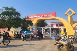 Nữ hiệu trưởng trường mầm non bị cách chức vì dùng bằng không hợp pháp