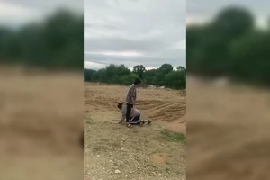 1 nữ sinh bị bạn đánh đập, làm nhục