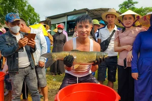 Độc đáo hội thi đi tìm Hoa hậu cá trắm