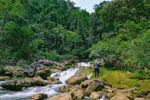 Nhiều hoạt động dịp kỷ niệm 20 năm Di sản Vườn Quốc gia Phong Nha-Kẻ Bàng