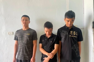 3 thanh niên cá độ bóng đá qua mạng hơn 13 tỉ đồng