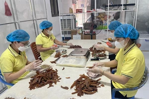 Khoai deo Quảng Bình được xác lập kỷ lục châu Á 