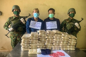 Bộ đội biên phòng Quảng Bình thu giữ lượng ma túy 'khủng' trong 5 năm