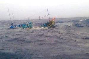 Tàu đánh cá và tàu thu mua hải sản bị chìm trên biển, 3 ngư dân mất tích