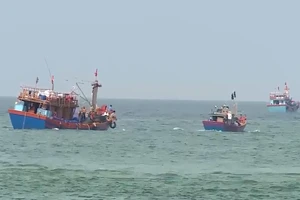 Quảng Bình kêu gọi hơn 400 tàu cá trên biển tìm nơi tránh trú áp thấp nhiệt đới