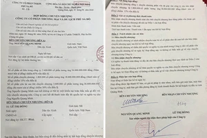 Khởi tố vụ án lừa đảo chiếm đoạt tài sản ở Công ty Phù Sa Đỏ