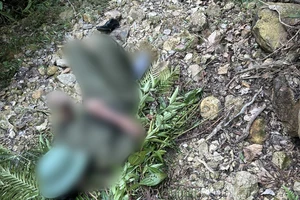 Người đàn ông tử vong sau khi tham gia chữa cháy rừng có được công nhận liệt sĩ ?