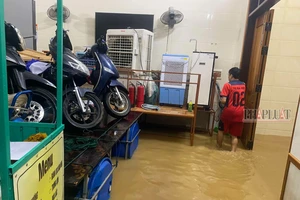 Người dân Quảng Bình hối hả chạy lũ trong đêm