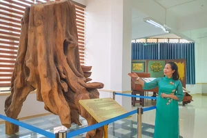 Bảo tàng trưng bày gốc gỗ sưa trị giá tiền tỉ được người dân phát hiện khi đi đánh cá
