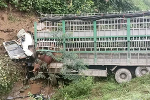 Xe tải chở 30 con bò lao xuống vực, tài xế tử vong trong cabin
