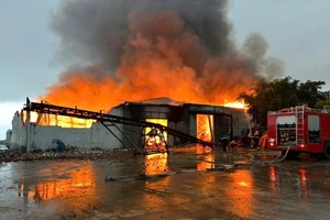 Cháy xưởng sản xuất bột cá ở Quảng Bình, thiệt hại gần 100 tỉ đồng