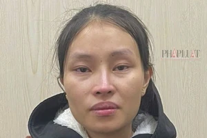 Phụ nữ đột nhập 3 nhà dân trộm tiền, vàng trị giá 750 triệu đồng