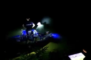 Nên làm gì khi phát hiện cây sưa nằm vùi lấp dưới lòng suối?