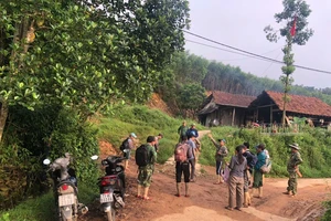 Hàng chục người tỏa vào rừng tìm người bị mất liên lạc khi đi tìm mật ong