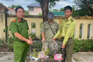 Khỉ mặt đỏ đột nhập phá phách, chủ nhà bắt giao cho kiểm lâm