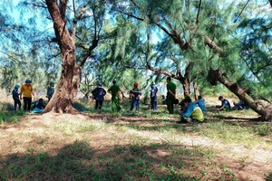 Huy động gần 100 người dập đám cháy rừng ở Quảng Trị