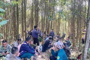 Người đàn ông tử vong khi vào rừng tìm mật ong