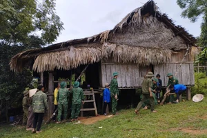 Người dân Quảng Trị hối hả gặt lúa, gia cố nhà cửa phòng chống bão số 5