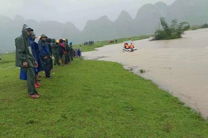 Cùng mẹ dắt trâu đi tránh lũ, 1 học sinh ở Quảng Trị bị nước cuốn trôi