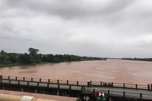 Người đàn ông ở Quảng Trị mất tích khi đi vớt gỗ tạp trên sông Thạch Hãn