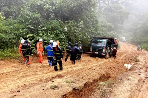 Điện lực Quảng Trị băng rừng, vượt suối kéo điện đến 17 thôn, bản vùng hẻo lánh