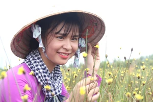 Tháng 5, đến Tràm Chim ngắm hoa lạ