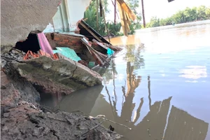 'Chạy bỏ của luôn chứ có lấy gì được đâu'